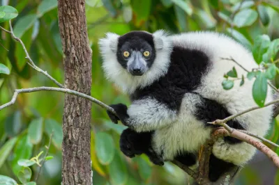Madagascar: Grand Tour del sud
